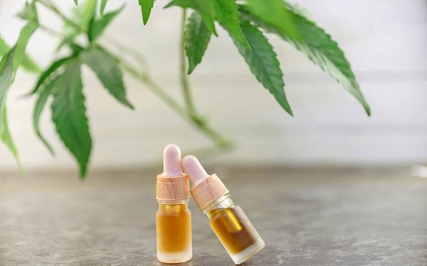 Boutique Satyva chanvre : Où qualité et variété se rencontrent